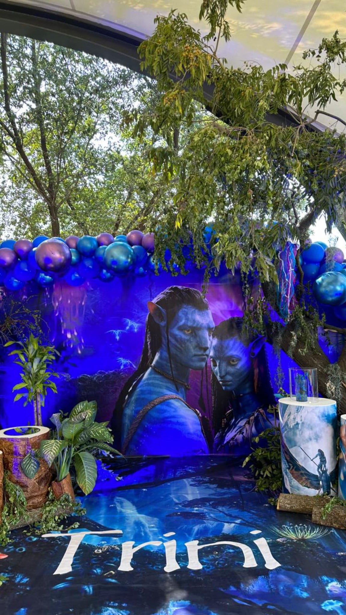 Fiestas con temática – imagen 2