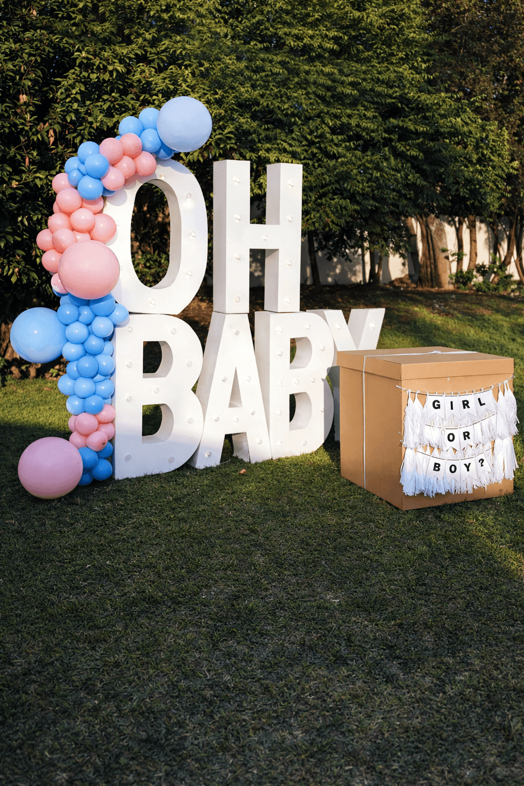 Gender Reveal – imagen 2
